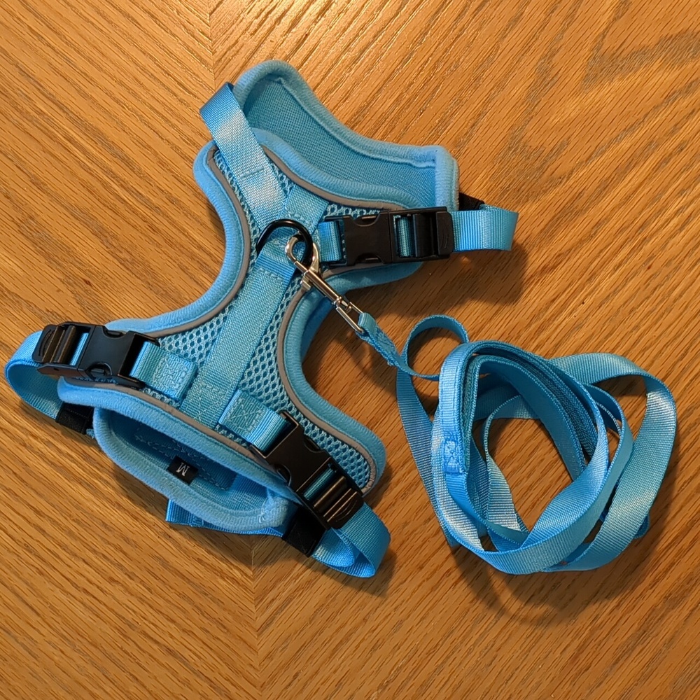 Pet Harness and Leash